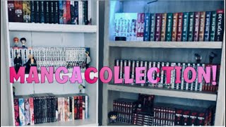 Manga Collection Tour 2023 300volumes [upl. by Benedic]