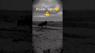 Push up 💪🤝shorts ytshorts [upl. by Aivun]