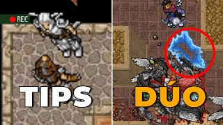 TIBIA  5 TIPS PARA CAZAR EN DÚO [upl. by Ruffin]