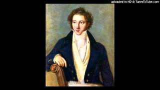 Vincenzo Bellini  Sinfonia in re minore  II Allegro con spirito [upl. by Lias]