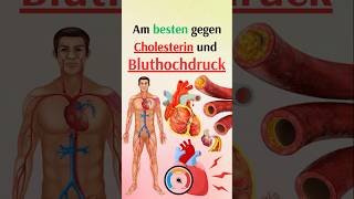 Am besten gegen Cholesterin und Bluthochdruck [upl. by Edelman]