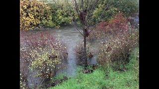 Bowker Creek and Climate Change [upl. by Jed]