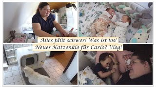 Alles fällt schwer Luca kuschelt Furbulous Box  Reborn Baby Deutsch  Little Reborn Nursery [upl. by Joell]