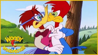 Woody Woodpecker Show  Teachers Pet  Full Episode  Videos For Kids [upl. by Sitnerp]