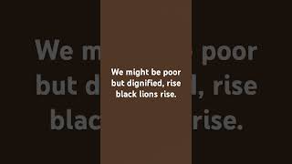 might be poor but dignified rise black lions rise stopthexploitationofAfrica stopstealing [upl. by Osi50]