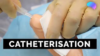 Catheterisation  OSCE Guide  UKMLA  CPSA [upl. by Naitsirhk]