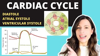 Alevel CARDIAC CYCLE Diastole atrial systole ventricular systoles the pressure volume changes [upl. by Israeli]