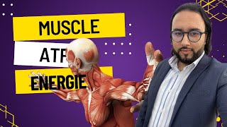 Muscle  Mécanisme de contraction musculaire BAC [upl. by Resay]