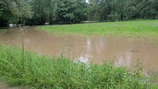 Hochwasser Neckar bei ReutlingenMittelstadt Pliezhausen am 02062024 [upl. by Chemaram576]