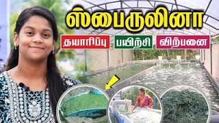 மூன்று நாள் பயிற்சியில் ஸ்பைருலினா தொழில் செய்யலாம்  Spirulina business  hellomadurai [upl. by Kyl]