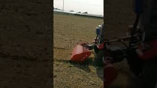 Mini tractor agrícola trabajando preparación de tierra maquinaria y equipo agricultura [upl. by Arakawa]