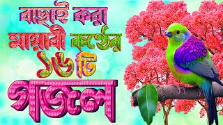 মিষ্টি মধুর সুরের ১৫টি গজল খুবই দুঃখের গজল  Heart Touching Gojol  Selected Gojol  Bangla Gojol [upl. by Ailehpo705]