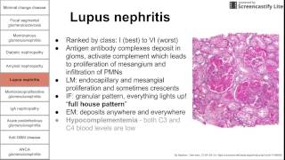 Glomerular diseases [upl. by Attirb]