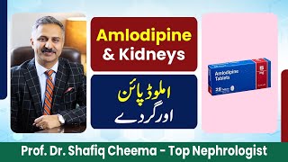 Amlodipine amp Kidneys [upl. by Sudaorb181]