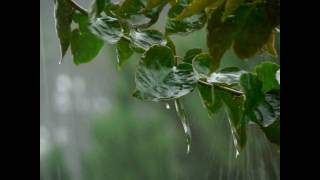 Baarish by Gulzar [upl. by Cheffetz]