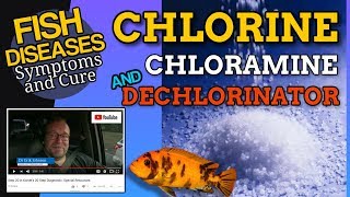 What is Chlorine and How to Dechlorinate [upl. by Nagiam]