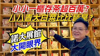 小小一櫃存茶超百萬？八八青大白菜比比皆是？諾大展館大開眼界！购茶请加微信赖line：HDLG003 普洱茶古树茶老班章古树茶茶茶叶茶葉古樹茶 普洱茶wechat tea [upl. by Aliam700]