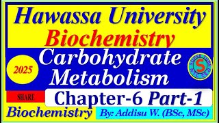 carbohydrates metabolism part1 interview exam digestion biochemistry 2024 [upl. by Oos]