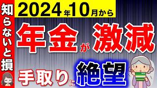 【10月から】手取りが激減！？年金通知書を見て絶望！最大4万円の減額！受給者全員が関係！【厚生年金社会保険料税金住民税】 [upl. by Ayoj]