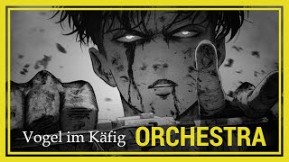 Vogel im Käfig  Full ORCHESTRA Version 🎺 Shingeki no Kyojin [upl. by Molly977]