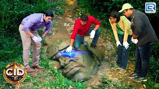 घने जंगल में मिले इस किमती मूर्ति का राज़ क्या Team CID जान पाएगी  CID  Latest Full Episode 1450 [upl. by Notnyw]