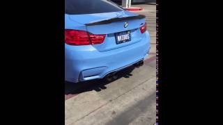 F82 BMW M4 with AA Midpipes VRSF Downpipes OEM exhaust and VF Hex tune VALVES OPEN [upl. by Aliehs687]