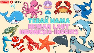 BELAJAR MENGENAL NAMANAMA HEWAN LAUT DALAM BAHASA INDONESIA DAN BAHASA INGGRIS  LEARNING ANIMALS [upl. by Doti491]