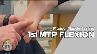 MMT 1st Metatarsophalangeal MTP Joint Flexion Manual Muscle Test [upl. by Keely935]