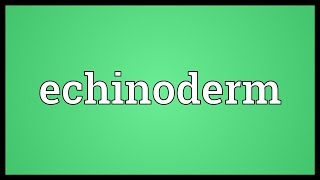 Echinoderm Meaning [upl. by Manon]