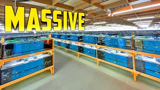 Most Amazing African Cichlid Facility in the World [upl. by Otilrac]