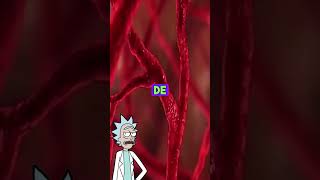 Por esta razón te duele atras cuando sale aguadito PT1 datoscuriosos rickymorty salud diarrea [upl. by Rondi]