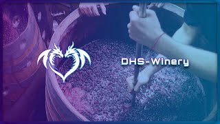 Paid QBCore  DHSWinery  Simple Wine Making amp Delivering Script [upl. by Warms]