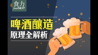 【食科普】啤酒釀造原理全解析 [upl. by Ggerc]