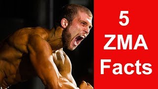 5 ZMA Facts Watch Before Buying [upl. by Lepper]