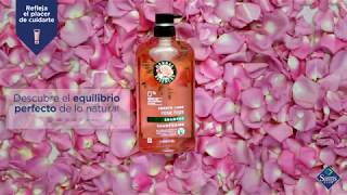 Aprovecha los beneficios de los pétalos de rosa con Herbal Essences [upl. by Gavrah]