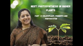 NEET Photosynthesis In Higher Plants Part2 Chloroplast Photosystem Pigements [upl. by Kisor667]