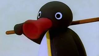 Pingu  Abertura 1 [upl. by Aierb]