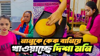 নানুকে কেক বানিয়ে খাওয়াচ্ছে দিশা মনি  Disha Moni  New Vlog Video [upl. by Naud81]