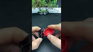 Amazing idea from Plastic bottle waste Why is it not Patented diyideas lifehacks recycle [upl. by Ariom]