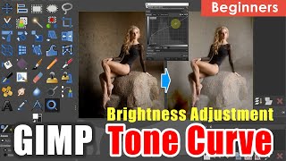 Adjust Brightness with Tone Curve《gimp tutorial photo editing》 [upl. by Ainesej590]