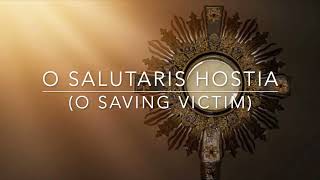 O SALUTARIS HOSTIA O SAVING VICTIM Instrumental [upl. by Readus278]