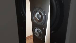 Teufel Ultima 40 mk3 Bass Test [upl. by Jobi671]