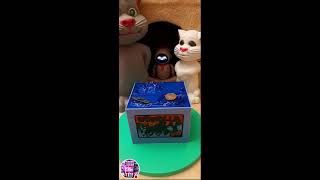 LIVE 🔥 Oddly Satisfying Toys [upl. by Ynaitirb]