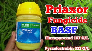 Priaxor Fungicide  Fluxapyroxad 167 GL  Pyraclostrobin 333 GL  BASF India Ltd [upl. by Kurzawa]