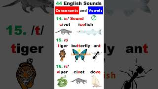 44 English Sounds 2  Consonants and Vowels [upl. by Nivlek]