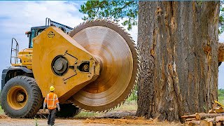 Extreme Dangerous Fastest Big Chainsaw Cutting Tree Machines  Monster Stump Removal Excavator 30 [upl. by Moria]