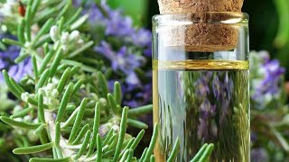 DIY Rosemary oil at home for hair and skin [upl. by Ymorej106]