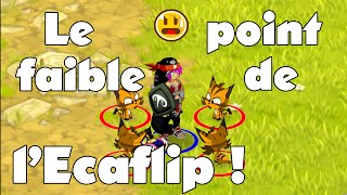 Dofus  Le point faible de lEcaflip   PvP 1vs1 Eliotrope 21 en live [upl. by Anniken]