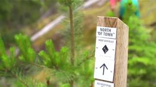 Insider’s Guide to Whistler’s Mountain Bike Trails Whistler North [upl. by Carce]