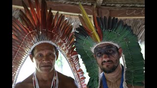 Ayahuasca  Medicina da Floresta Veja o ritual de Ayahuasca dos Yawanawá no Pop Station Expedition [upl. by Guglielma]